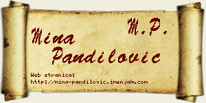 Mina Pandilović vizit kartica